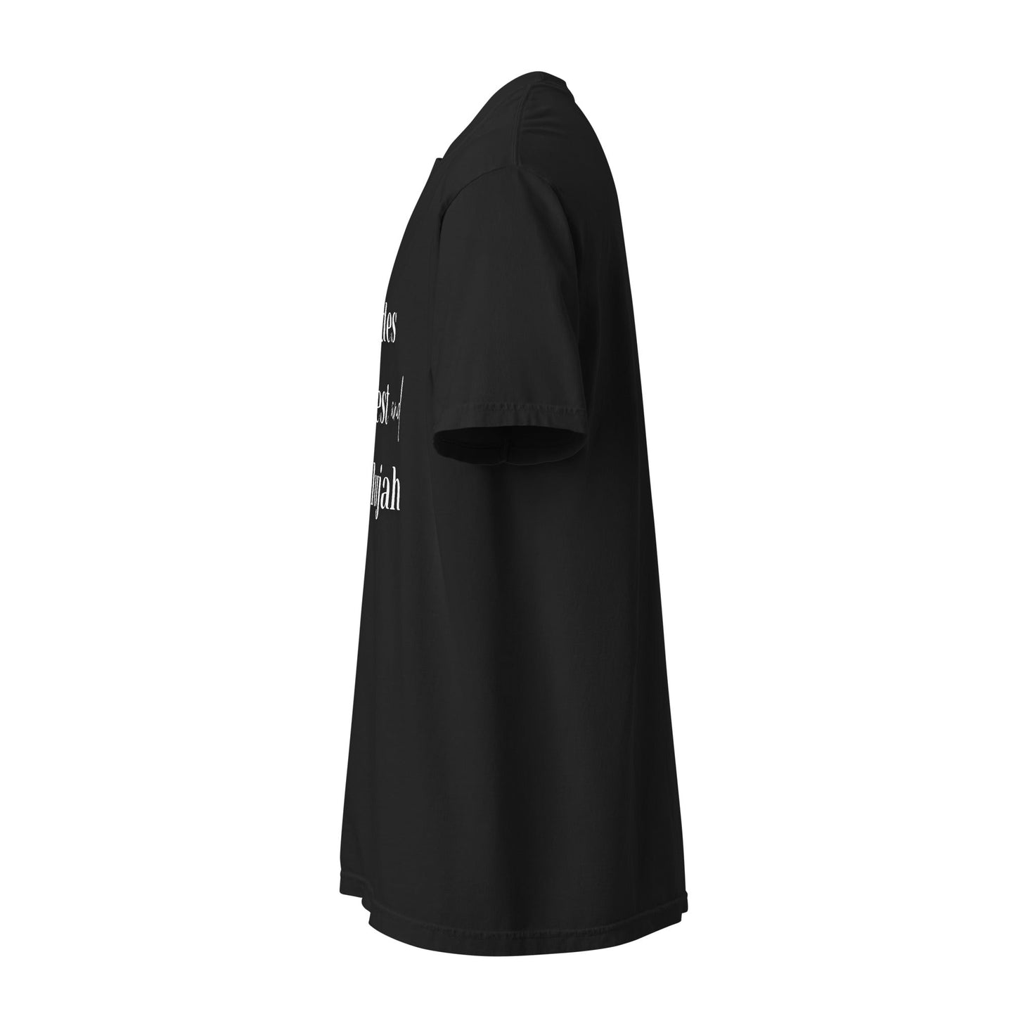 Hayrides, Harvest & Hallelujah Tee – Faith - Inspired Fall Christian Shirt for Women - SheWalksInFaith