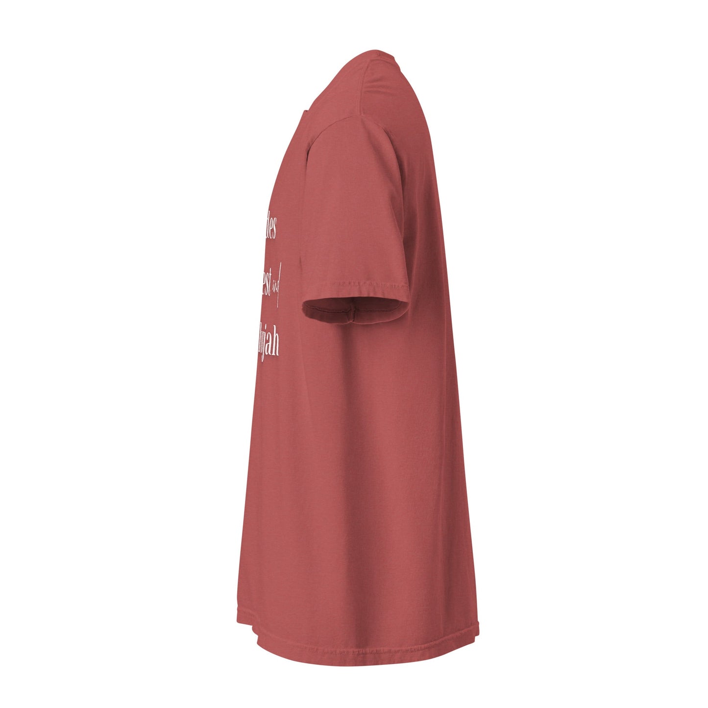 Hayrides, Harvest & Hallelujah Tee – Faith - Inspired Fall Christian Shirt for Women - SheWalksInFaith